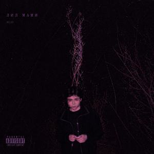 Лил мами