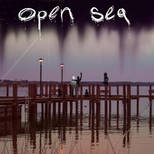 Open Sea (1171)