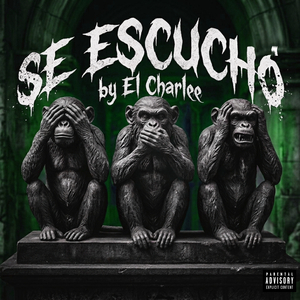 SE ESCUCHO
