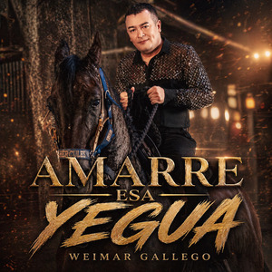 Amarre Esa Yegua