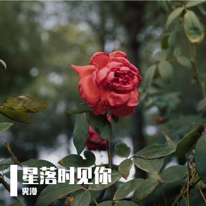星落时见你