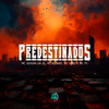 MC Adrian da ZL - Predestinados