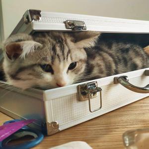 我不想回消息啊(prod. by allenj)