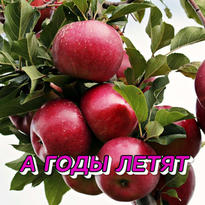 А ГОДЫ ЛЕТЯТ