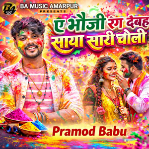 A Bhauji Rang Dehab Saya Sari Choli