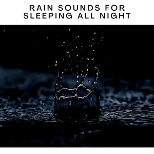 Rain Forest Meditation