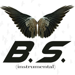 B.S. (Instrumental)