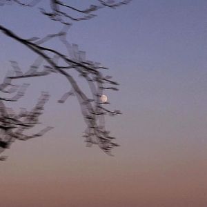 叶琼琳-躯壳（山川不临月. remix）