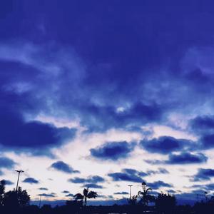 FLIPPED