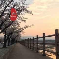 不努力别抱怨生活不易 (DJ版)