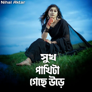 সুখ পাখিটা গেছে উড়ে