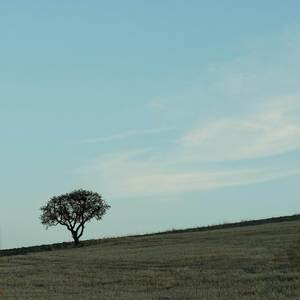 Nywin- Kura Bigriyo Ni