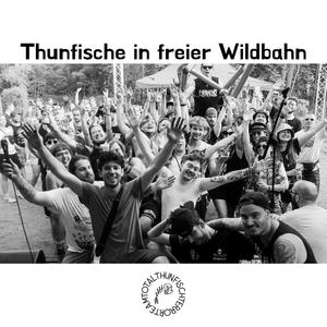 Thunfische in freier Wildbahn