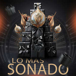 En los Carnavales, Sonido Sonoramico