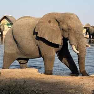 Off the Beaten Track