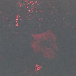 beynimi dağıtmak istiyorum'