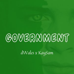 Government