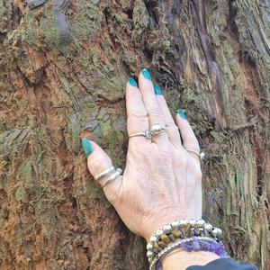 Echoes Over The Hill