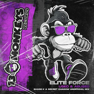 Used & Abused (Shade K & Sekret Chadow Unofficial Mix)