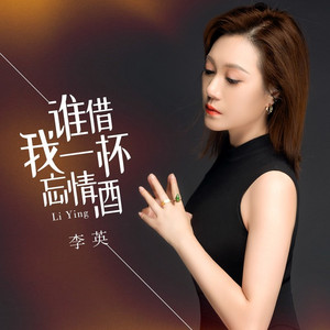 谁借我一杯忘情酒 (DJ月之歌版)