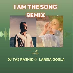 I Am The Song (Instrumental, DJ Taz Rashid Mix)