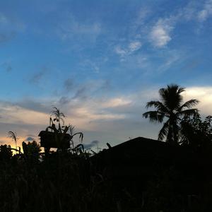 Timilai Dekhe Pachhi (feat. Suraj Thapa & Meena Niraula)