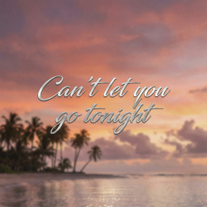 Can't let you go tonight