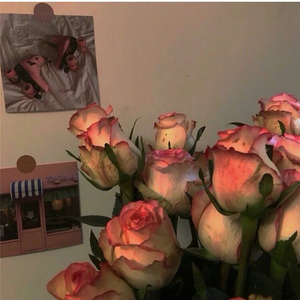 故事烂在旧心底