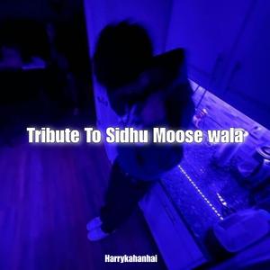 Tribute To Sidhu moose wala