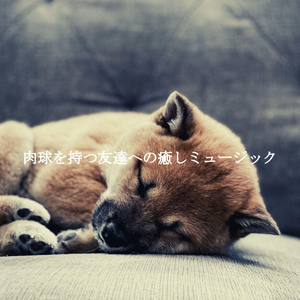 Bubbly (Co-Working Spaces)