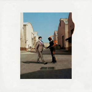 滚滚长江东逝水：山东现金王（Money）版