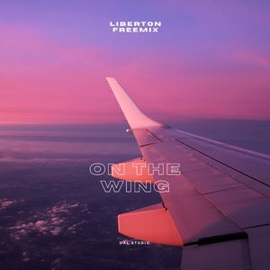 On the wing