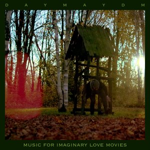 An Afternoon Walk in a Forest