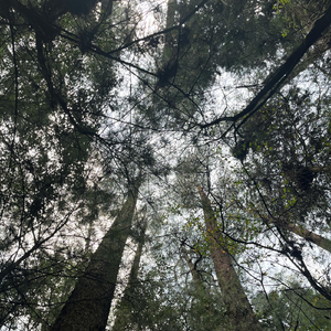 Free out the boy (feat. solomaria)