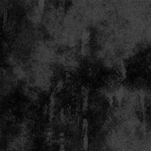 For Someone Once Known Now Forgotten