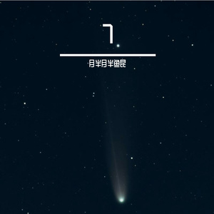 悲观主义者种下的希望