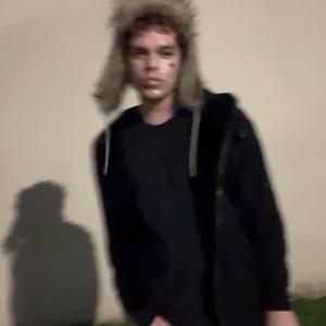 Company (Suzy Sheer)