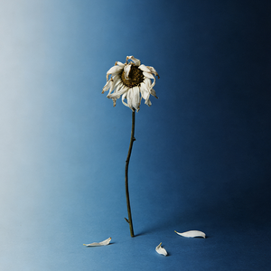 凌晨3点的雨 伴奏