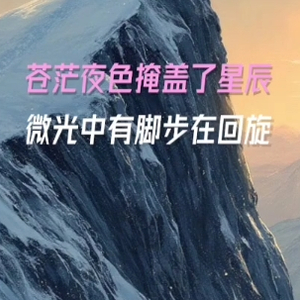 苍茫夜色掩盖了星辰
