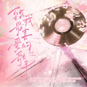 致我最喜爱的歌手