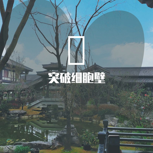 寂静的寒冬