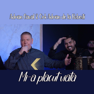 Mi-a placut viata (Live)