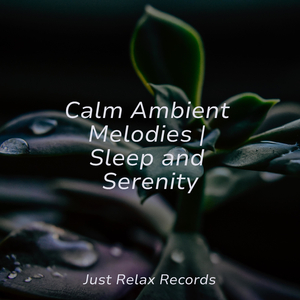 Silent Flames Flaring Softly