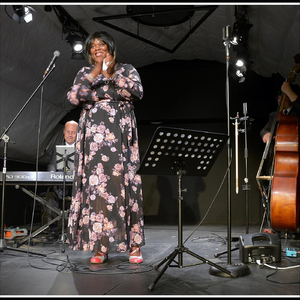 The Way You Look Tonight