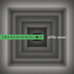 Transmigration