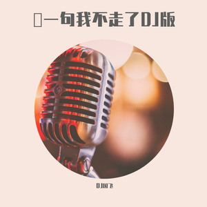 說一句我不走了-DJ国飞版