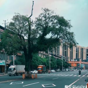 这一生关于你的风景