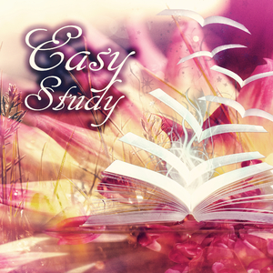 Contata No. 209: II. Non Sa Che Sia Dolore