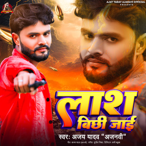 Lash bichhi jayi
