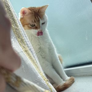 陪你一起捉迷藏